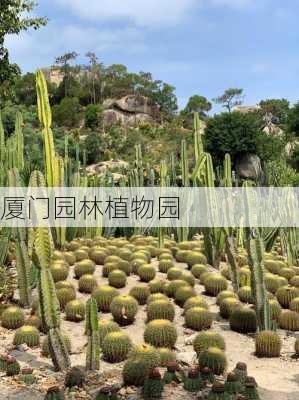 厦门园林植物园-第1张图片-欧景旅游网