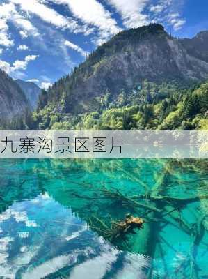 九寨沟景区图片-第3张图片-欧景旅游网