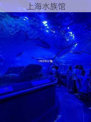 上海水族馆-第3张图片-欧景旅游网