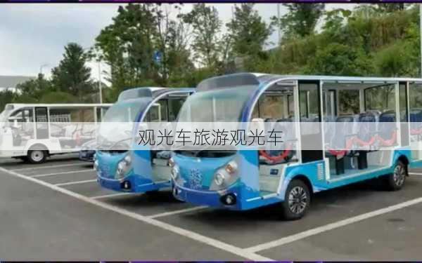 观光车旅游观光车-第3张图片-欧景旅游网