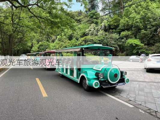 观光车旅游观光车-第2张图片-欧景旅游网