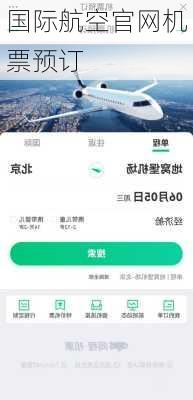 国际航空官网机票预订-第3张图片-欧景旅游网