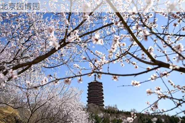 北京园博园-第3张图片-欧景旅游网