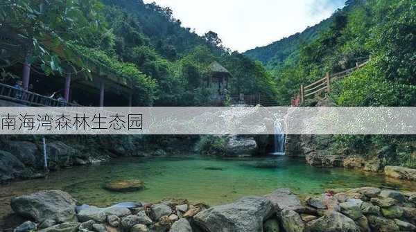 南海湾森林生态园-第3张图片-欧景旅游网