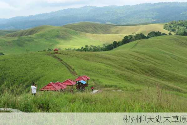 郴州仰天湖大草原-第2张图片-欧景旅游网