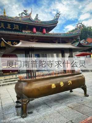 厦门南普陀寺求什么灵-第2张图片-欧景旅游网