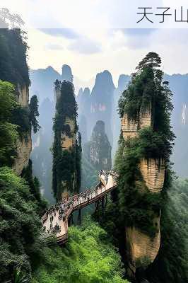 天子山-第3张图片-欧景旅游网