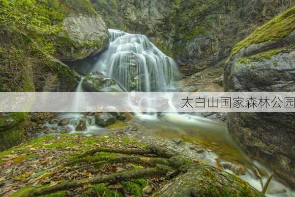 太白山国家森林公园-第3张图片-欧景旅游网