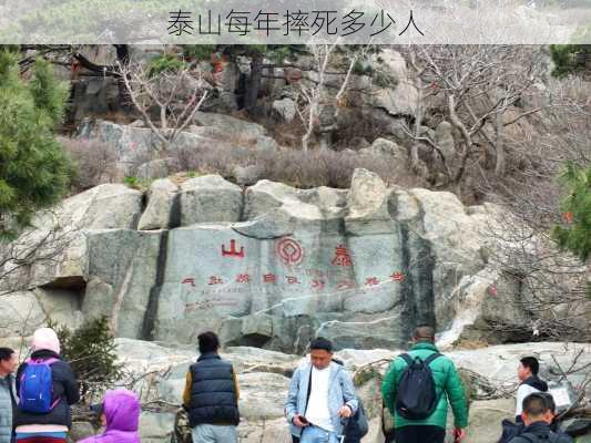 泰山每年摔死多少人-第1张图片-欧景旅游网