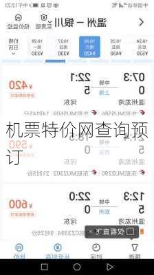 机票特价网查询预订-第2张图片-欧景旅游网