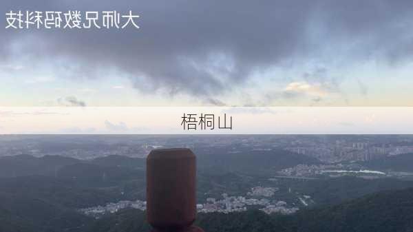 梧桐山-第3张图片-欧景旅游网