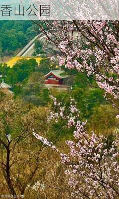 香山公园-第3张图片-欧景旅游网