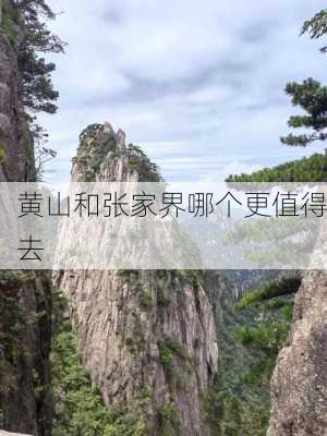 黄山和张家界哪个更值得去-第2张图片-欧景旅游网