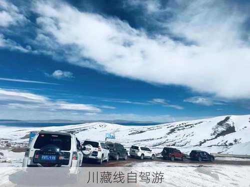 川藏线自驾游-第3张图片-欧景旅游网