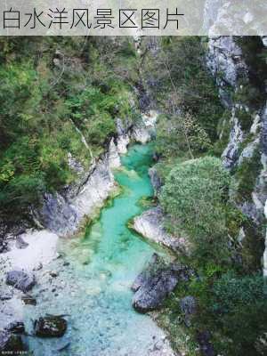 白水洋风景区图片-第3张图片-欧景旅游网