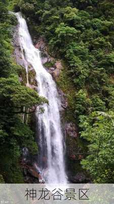 神龙谷景区-第2张图片-欧景旅游网