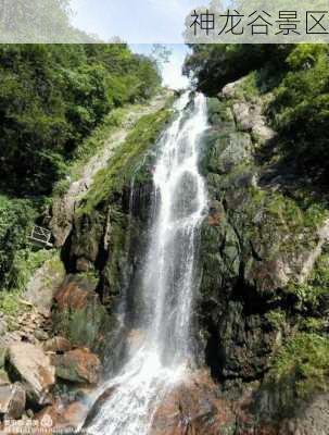 神龙谷景区-第3张图片-欧景旅游网