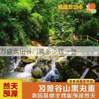 万盛黑山谷门票多少钱一张-第2张图片-欧景旅游网