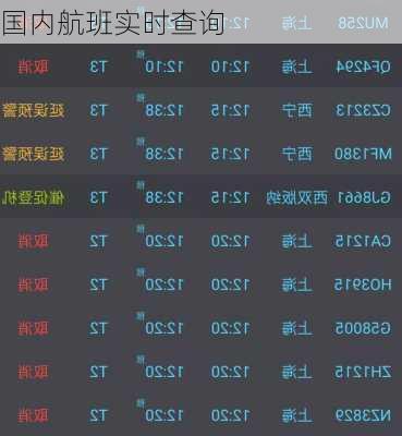 国内航班实时查询-第2张图片-欧景旅游网