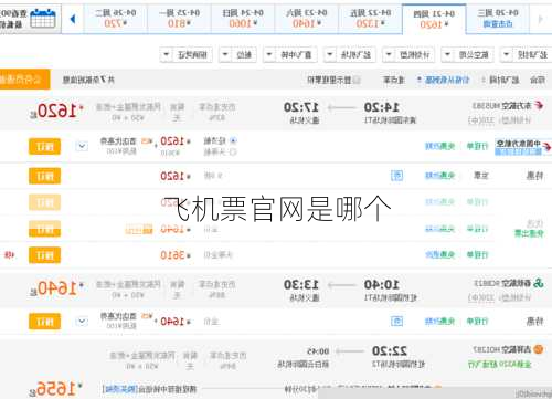飞机票官网是哪个-第2张图片-欧景旅游网