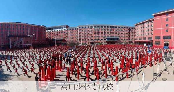 嵩山少林寺武校-第2张图片-欧景旅游网