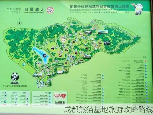 成都熊猫基地旅游攻略路线-第3张图片-欧景旅游网