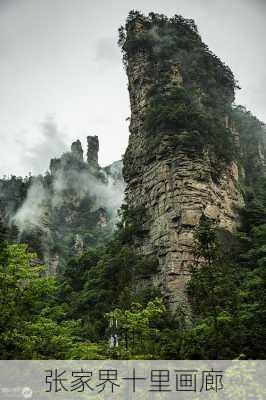 张家界十里画廊-第1张图片-欧景旅游网