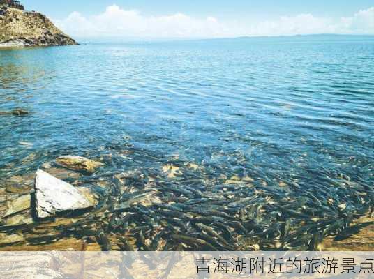 青海湖附近的旅游景点-第2张图片-欧景旅游网