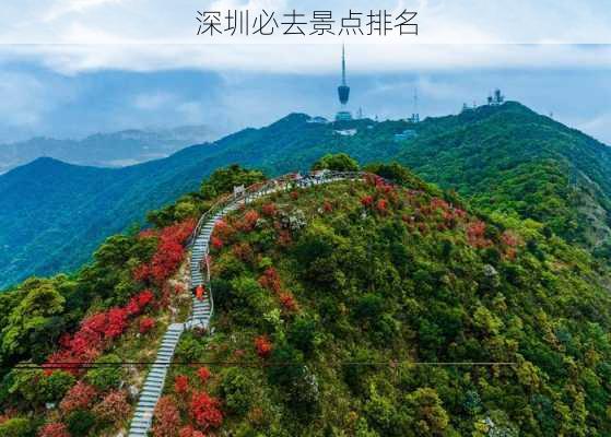 深圳必去景点排名-第2张图片-欧景旅游网