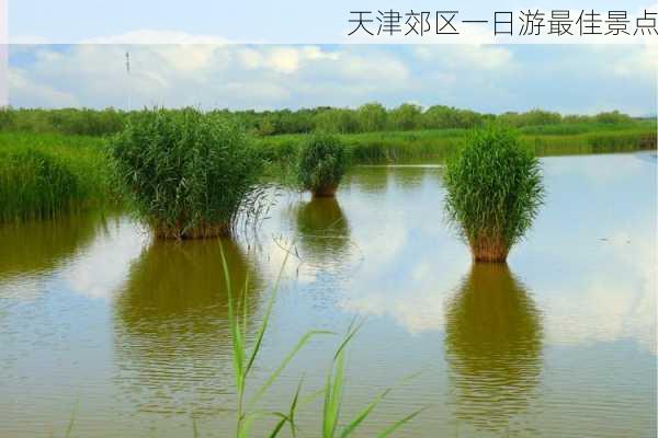 天津郊区一日游最佳景点-第3张图片-欧景旅游网