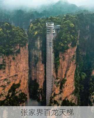 张家界百龙天梯-第1张图片-欧景旅游网