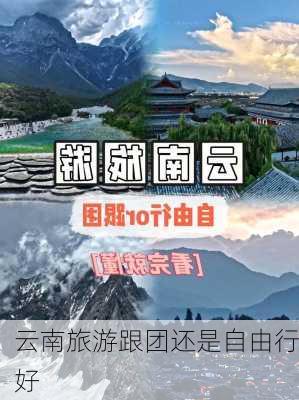 云南旅游跟团还是自由行好-第2张图片-欧景旅游网