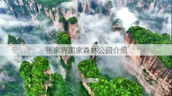 张家界国家森林公园介绍-第3张图片-欧景旅游网