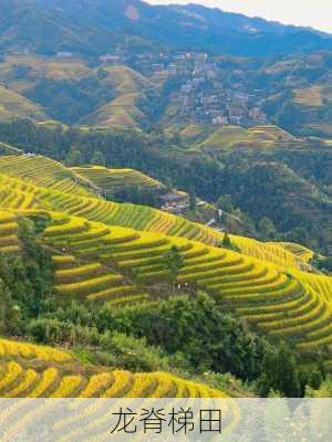 龙脊梯田-第3张图片-欧景旅游网