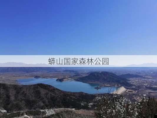 蟒山国家森林公园-第2张图片-欧景旅游网