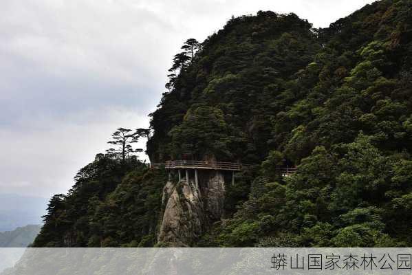 蟒山国家森林公园-第3张图片-欧景旅游网