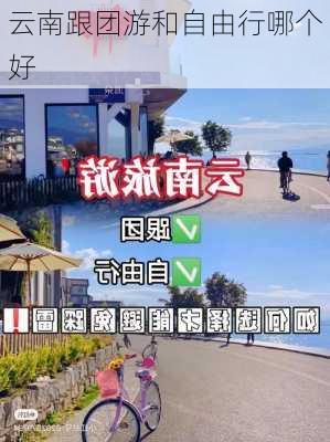 云南跟团游和自由行哪个好-第2张图片-欧景旅游网