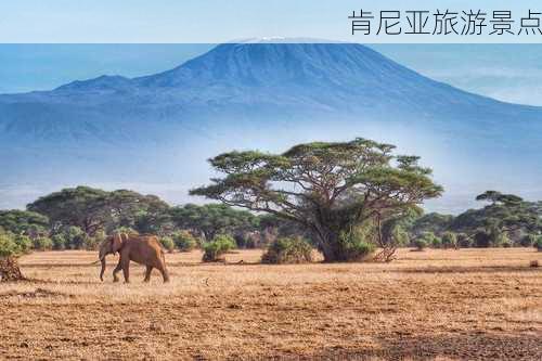 肯尼亚旅游景点-第1张图片-欧景旅游网