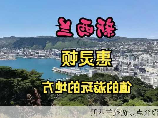 新西兰旅游景点介绍-第3张图片-欧景旅游网