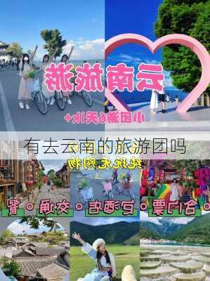 有去云南的旅游团吗-第1张图片-欧景旅游网