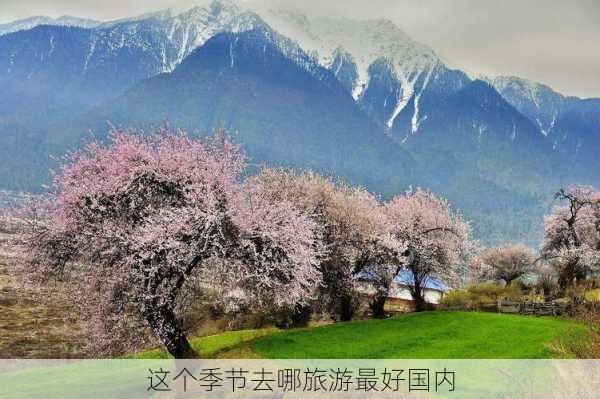 这个季节去哪旅游最好国内-第3张图片-欧景旅游网