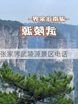 张家界武陵源景区电话-第2张图片-欧景旅游网