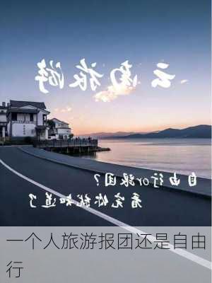 一个人旅游报团还是自由行-第2张图片-欧景旅游网