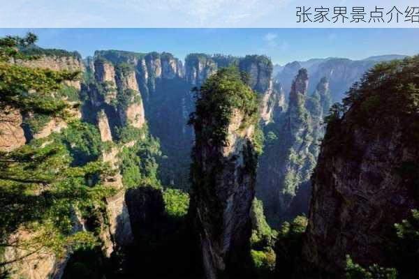 张家界景点介绍-第2张图片-欧景旅游网