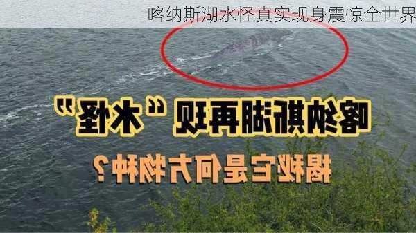 喀纳斯湖水怪真实现身震惊全世界