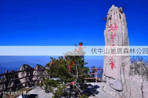 伏牛山地质森林公园-第3张图片-欧景旅游网