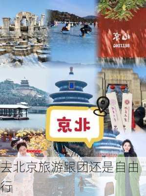 去北京旅游跟团还是自由行-第1张图片-欧景旅游网