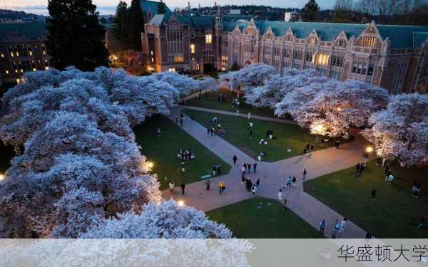 华盛顿大学-第3张图片-欧景旅游网