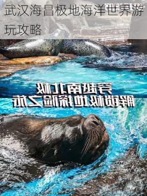 武汉海昌极地海洋世界游玩攻略-第3张图片-欧景旅游网