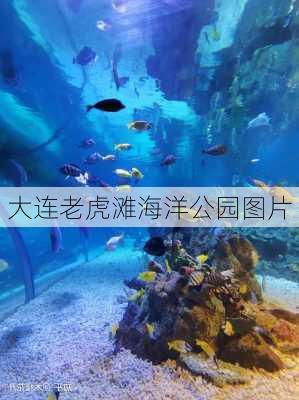 大连老虎滩海洋公园图片-第2张图片-欧景旅游网